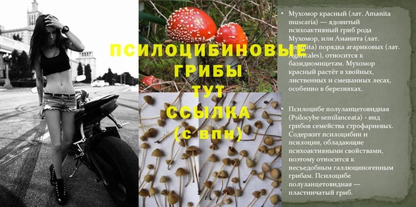 не бодяженный Мегион