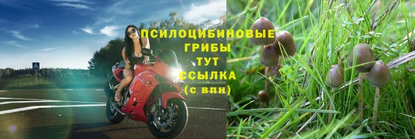 спиды Михайлов