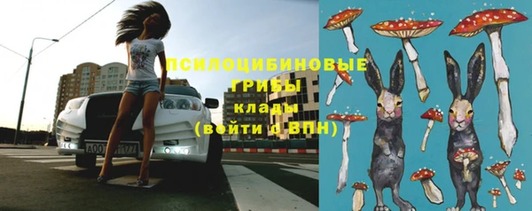 спиды Михайлов