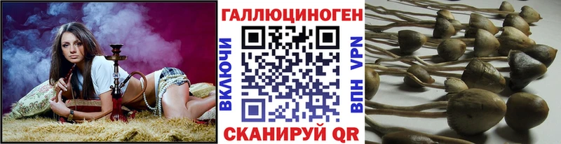 Галлюциногенные грибы мицелий  даркнет наркотические препараты  Новотроицк 