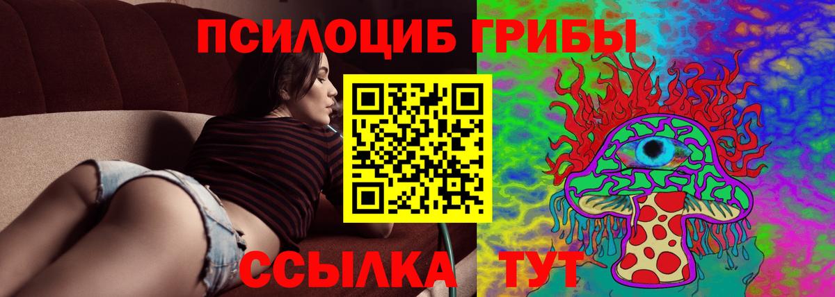 Галлюциногенные грибы прущие грибы Новотроицк
