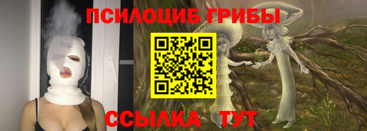 Псилоцибиновые грибы мицелий  Вход с VPN  Новотроицк  Псилоцибиновые грибы MAGIC MUSHROOMS 